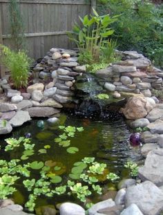 a pond with rocks and water lilies in it