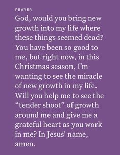 a purple background with the words prayer for christmas