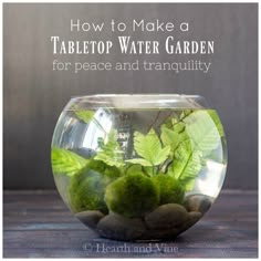 a glass bowl filled with plants and rocks on top of a wooden table text reads how to make a tabletop water garden for peace and tranquility