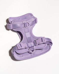 a small purple dog harness on a white background with clippings to the collar