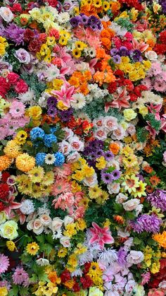 many different colored flowers are grouped together