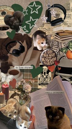 collage of cats and books with caption that reads, to lose my mind