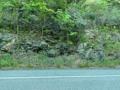 a large rock wall next to the side of a road with trees growing on it