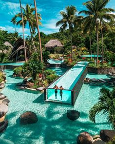 people are swimming in the pool surrounded by palm trees and water features that look like they're floating