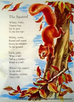 an illustration of a squirrel on top of a tree branch with the words, the squirrel