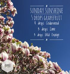 dōTERRA Essential Oil Diffuser Blend Sunday Diffuser Blends Doterra, Sunday Diffuser Blends, Doterra Grapefruit, Diffuser Blends Young Living, Diffuser Scents, Young Living Oils Recipes, Doterra Recipes, Crunchy Mama, Relaxing Essential Oils