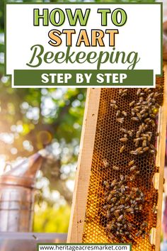 a beehive with the words how to start beekeepering step by step