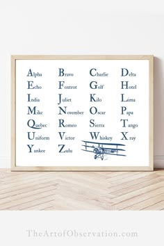 a framed poster with the names of different types of airplanes on it, in front of a