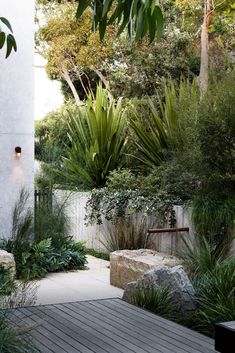 a wooden deck surrounded by plants and rocks