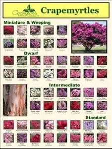 a poster with pictures of trees and flowers