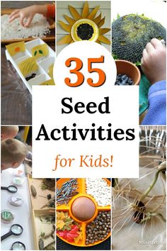 the words 35 seed activities for kids with pictures of plants, seeds and other things