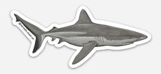 a shark sticker on a white background