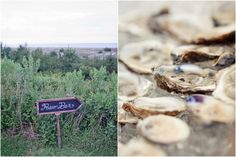 there are two pictures one has a sign and the other has oysters on it