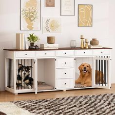 two dogs in their kennel with pictures on the wall behind them and one dog inside