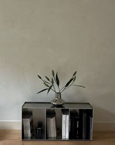 a vase with some plants in it sitting on a shelf next to a bookcase