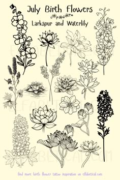 a bunch of flowers that are drawn in ink