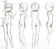 a line drawing of different female body shapes