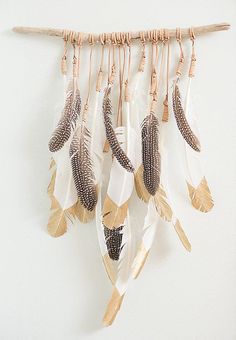 a group of feathers hanging from a wall