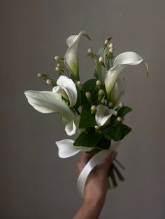 a hand holding a bouquet of white flowers