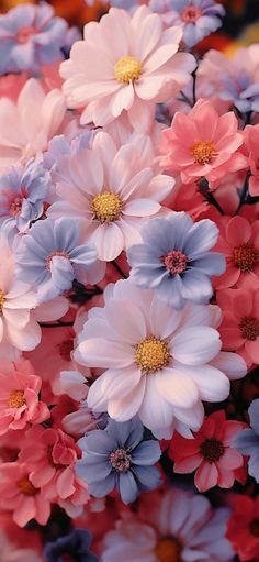 a bunch of flowers that are pink, blue and white