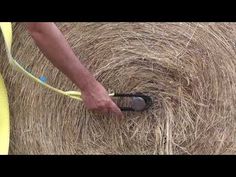 a man is holding scissors in front of a hay bale that has been cut down