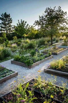 a garden filled with lots of different types of flowers and plants growing in the middle of it