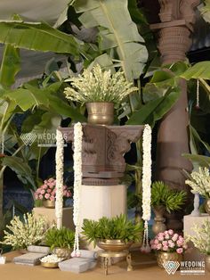 a table topped with lots of potted plants