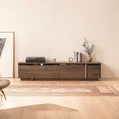 a living room scene with focus on the entertainment center and rug in the foreground