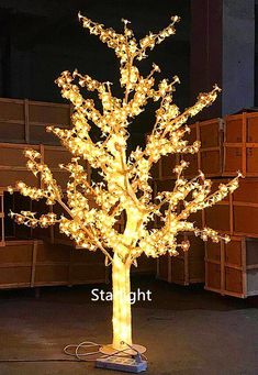 a lighted tree in the middle of a room