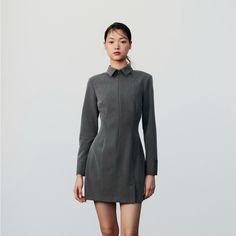 Nwt Size X-Small Mini Dress With Lapel Collar And Long Sleeves Fitted Waist Front Hidden In Seam Zip Closure Zara Red Dress, Zara Printed Dress, Black Satin Mini Dress, Zara Mini Dress, Grey Shirt Dress, White Embroidered Dress, Wrap Around Dress, Knitted Bodycon Dress, Gray Shirt