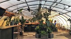 the inside of a greenhouse with potted plants and people sitting at tables in it