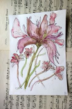 a watercolor drawing of a pink flower on sheet music paper with notes in the background