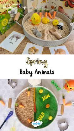 Lovely spring activities for toddlers, sensory play and exploring baby animals. Thanks to @eatingwith_emilia @littlestarsbooks_ Spring Display Ideas Classroom, Spring Activities For Babies, Spring Activities Eyfs, Baby Room Activities Eyfs, Spring Eyfs, Nursery 2023, Spring Activities For Toddlers, Baby Room Activities, Development Psychology