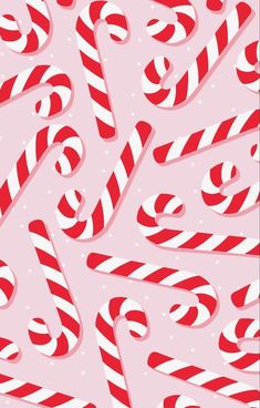 red and white candy canes on a pink background