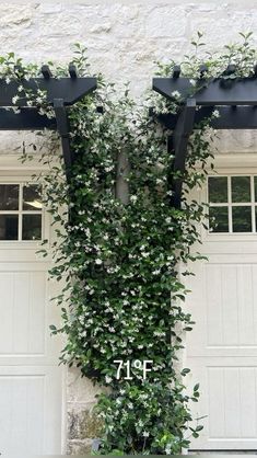 an ivy covered wall next to two garage doors