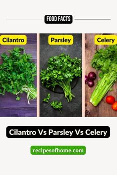 What is the difference between cilantro, parsley, and celery? Celery Leaves, Cilantro Parsley, Indian Festivals, Family Recipes, Vegan Paleo, Do You Know What