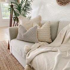 a couch with pillows and blankets on it in front of a potted palm tree