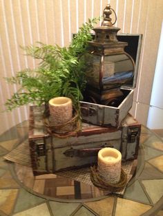 a glass table topped with an old trunk filled with plants and candles next to a potted plant