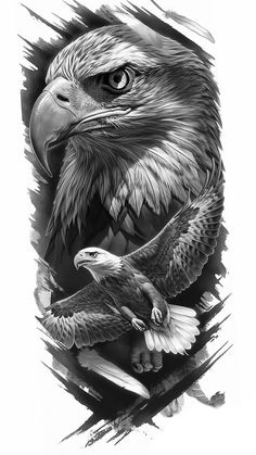 an eagle and another bird are depicted in this black and white drawing