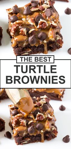 the best turtle brownies are made with chocolate chips, pecans and caramel