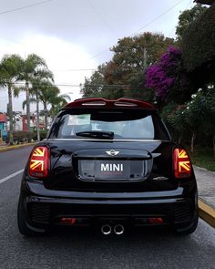 the back end of a mini hatchback car parked in front of a street with palm trees