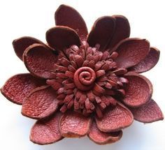 a close up of a red flower on a white background