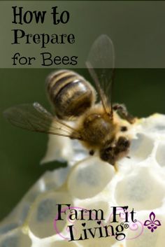 a bee sitting on top of a honeycomb with the words beginning beekeeper equipment list