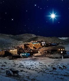 a star is shining over a small village in the middle of desert with sheep grazing on the ground