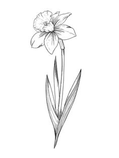 a drawing of a flower on a white background