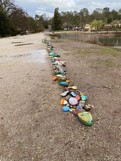 a long row of rocks sitting on the side of a road