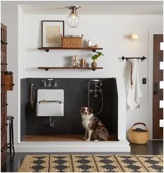 a dog is sitting in the bathroom sink