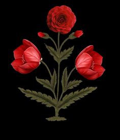 three red flowers with green leaves on a black background