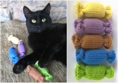 a black cat laying on top of a bed next to crocheted toys