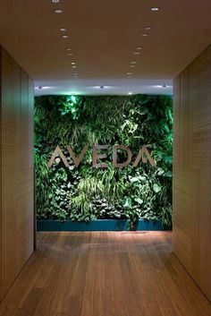 a large green wall with the word aveda on it in front of a wooden floor